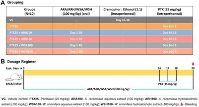 Ayurveda-based Botanicals as Therapeutic Adjuvants in Paclitaxel-induced Myelosuppression